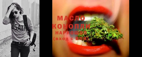 скорость Новозыбков