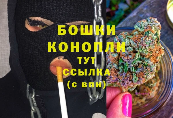 спайс Новодвинск