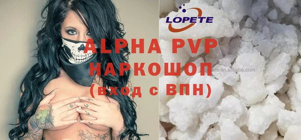скорость Новозыбков
